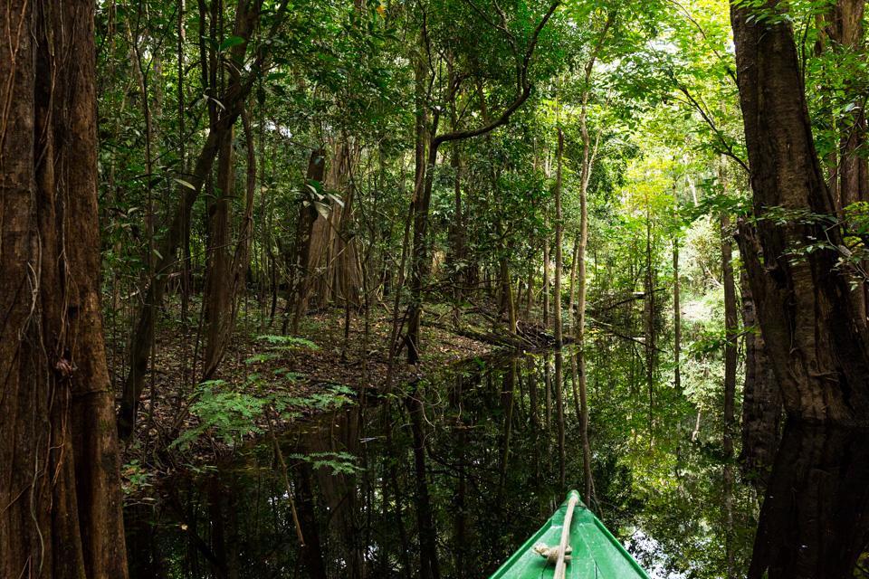 Amazônia ParkSuítes Novo Airão Exterior foto